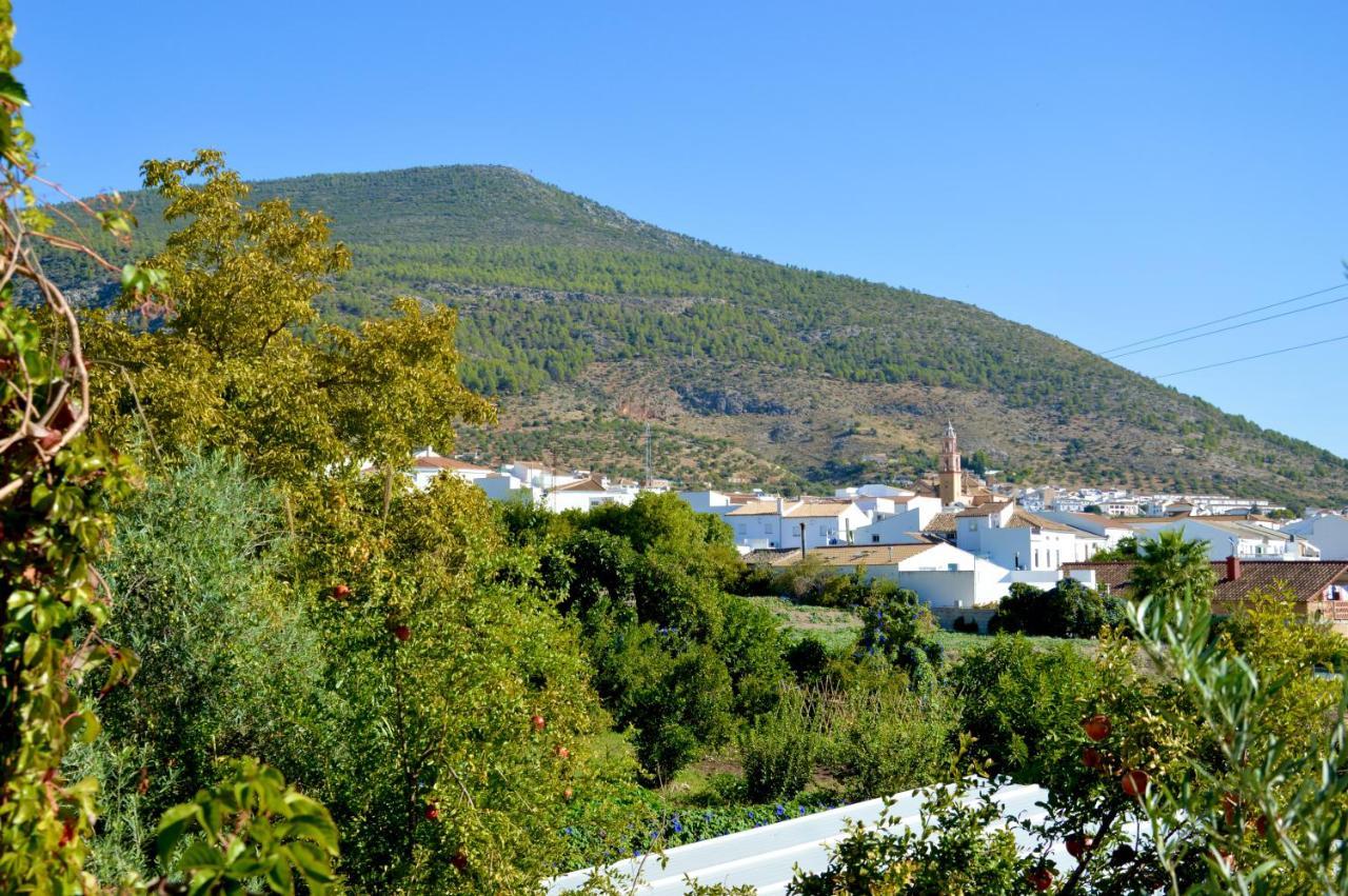 Ecoalbergue Rural De אלגודונאלס מראה חיצוני תמונה