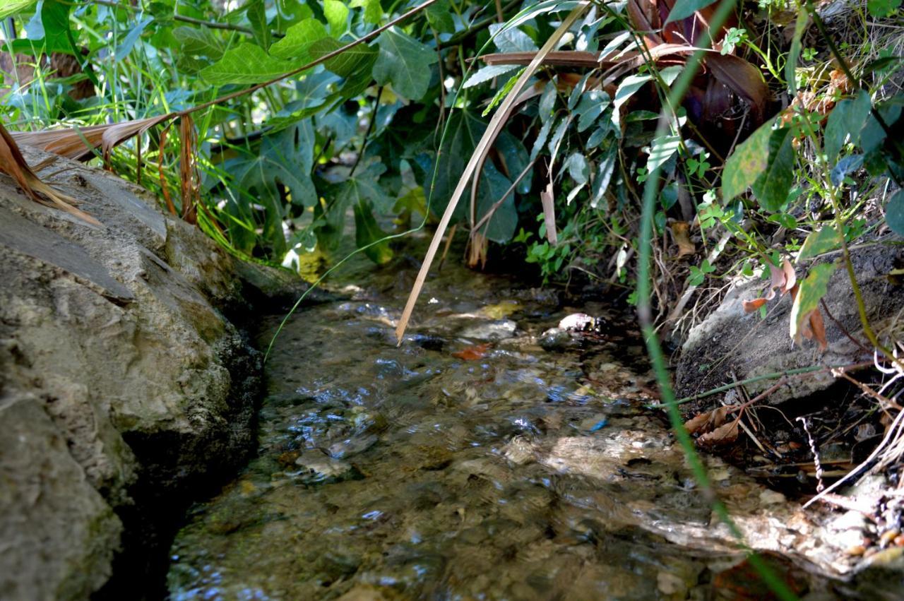 Ecoalbergue Rural De אלגודונאלס מראה חיצוני תמונה