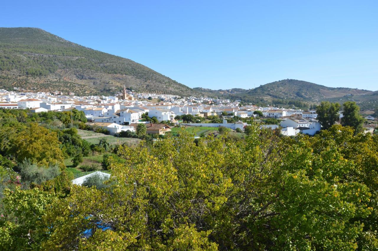 Ecoalbergue Rural De אלגודונאלס מראה חיצוני תמונה