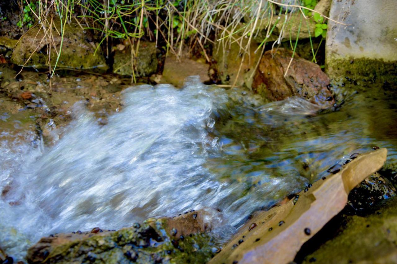 Ecoalbergue Rural De אלגודונאלס מראה חיצוני תמונה